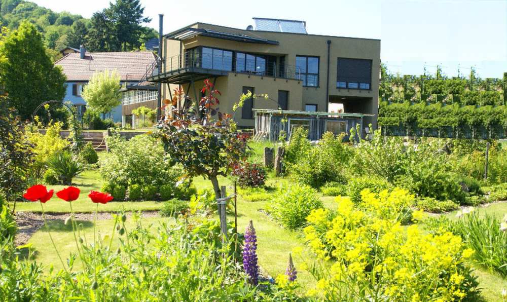 Image 66 : Villa à Thannenkirch